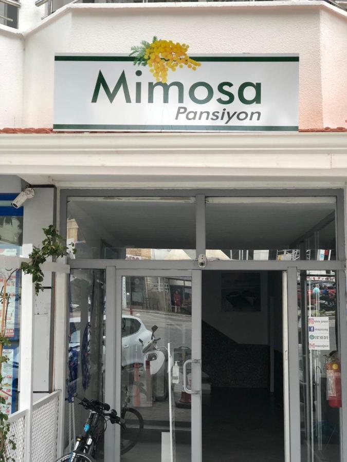 Mimosa Pension Kaş Buitenkant foto