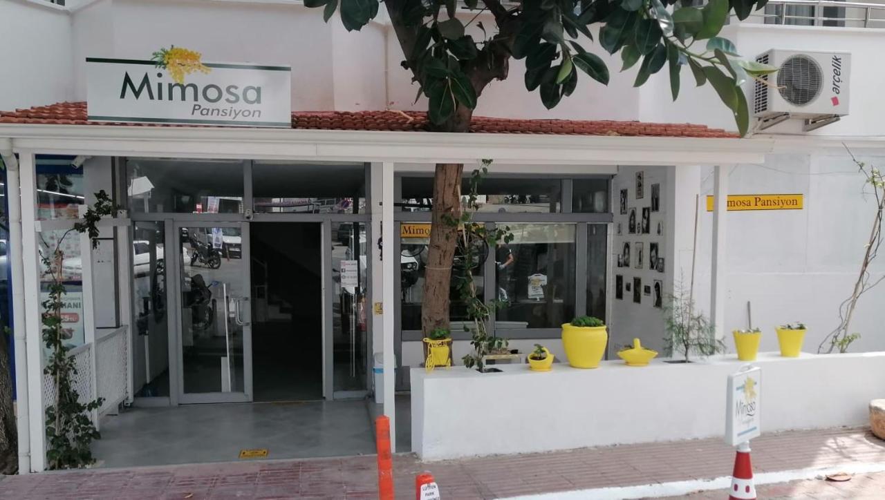 Mimosa Pension Kaş Buitenkant foto